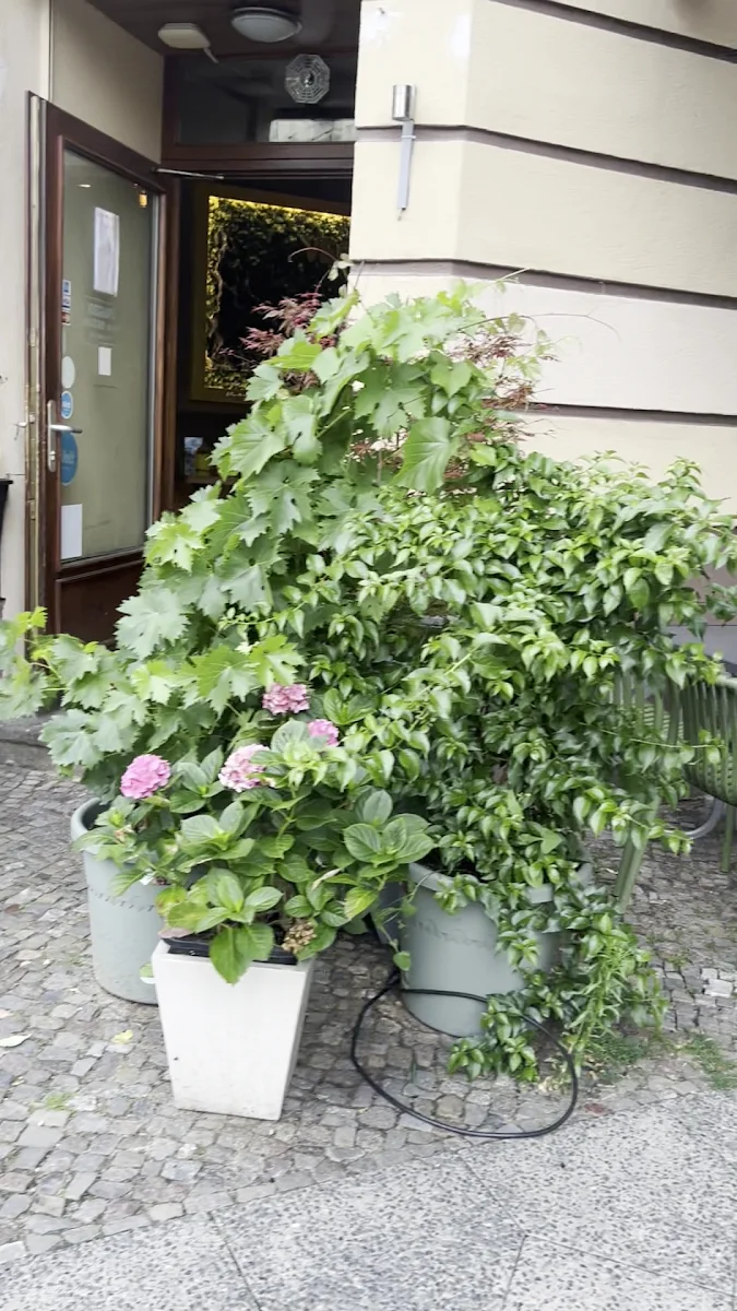 Speisekarte photo 8