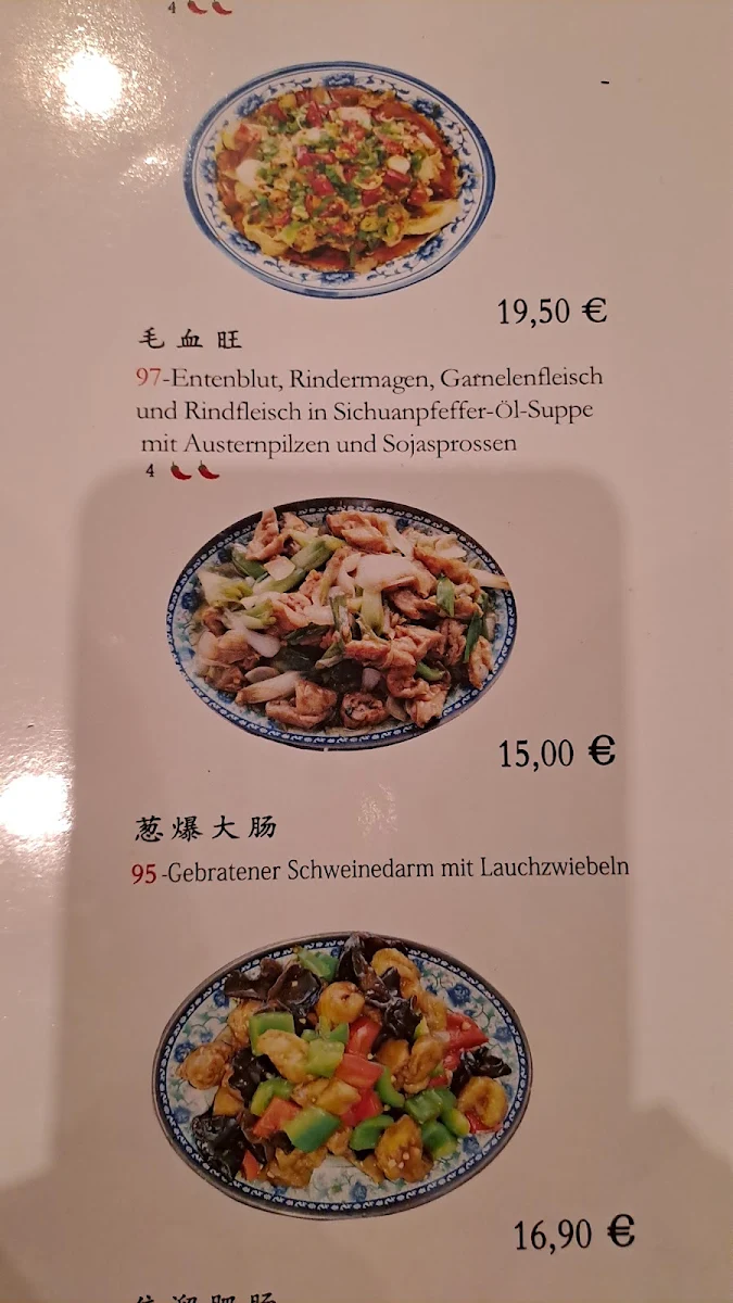 Speisekarte, Yangda Restaurant Heidelberg