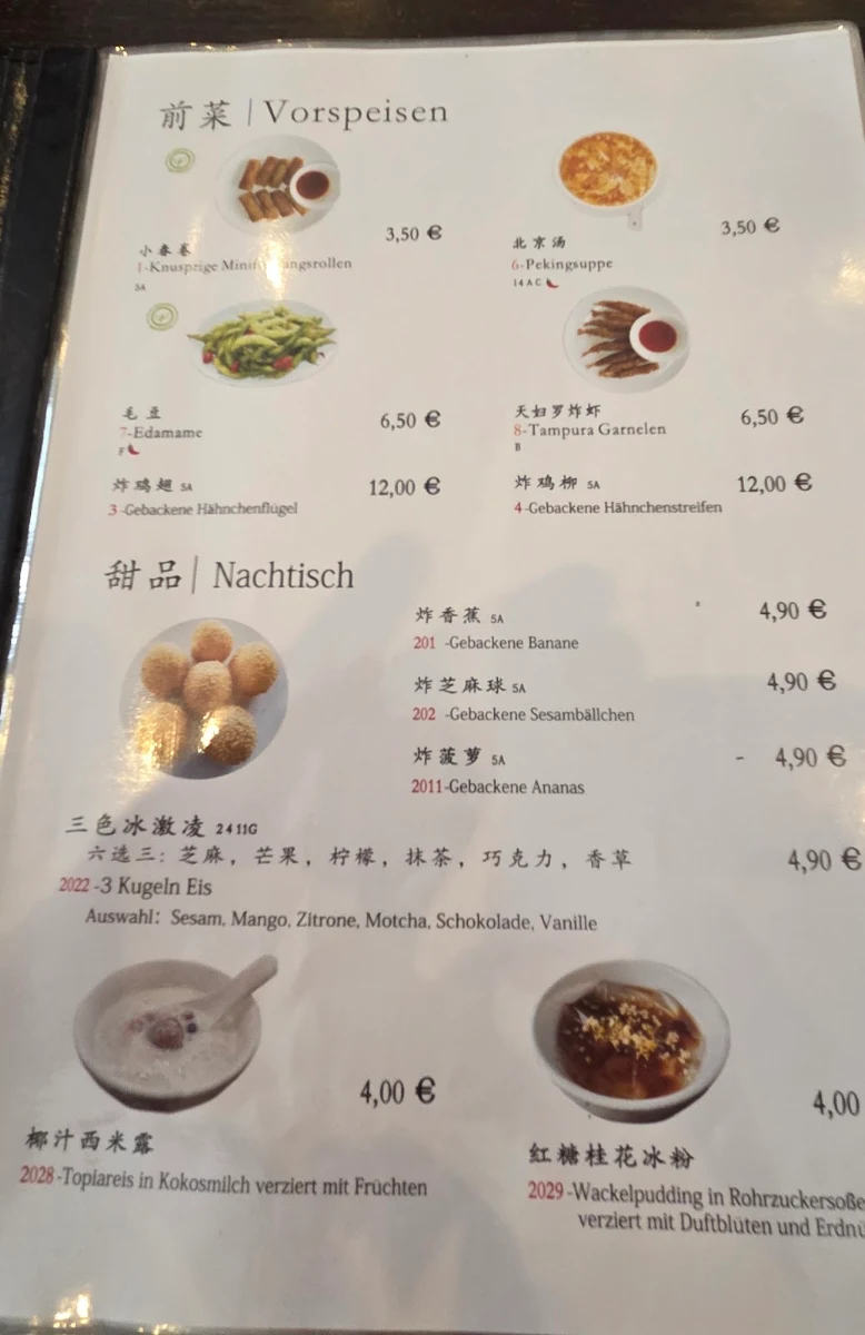 Speisekarte, Yangda Restaurant Heidelberg