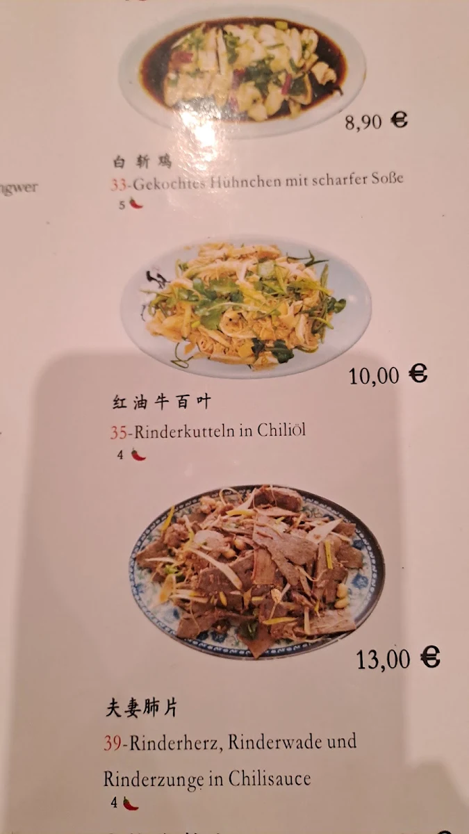 Speisekarte, Yangda Restaurant Heidelberg