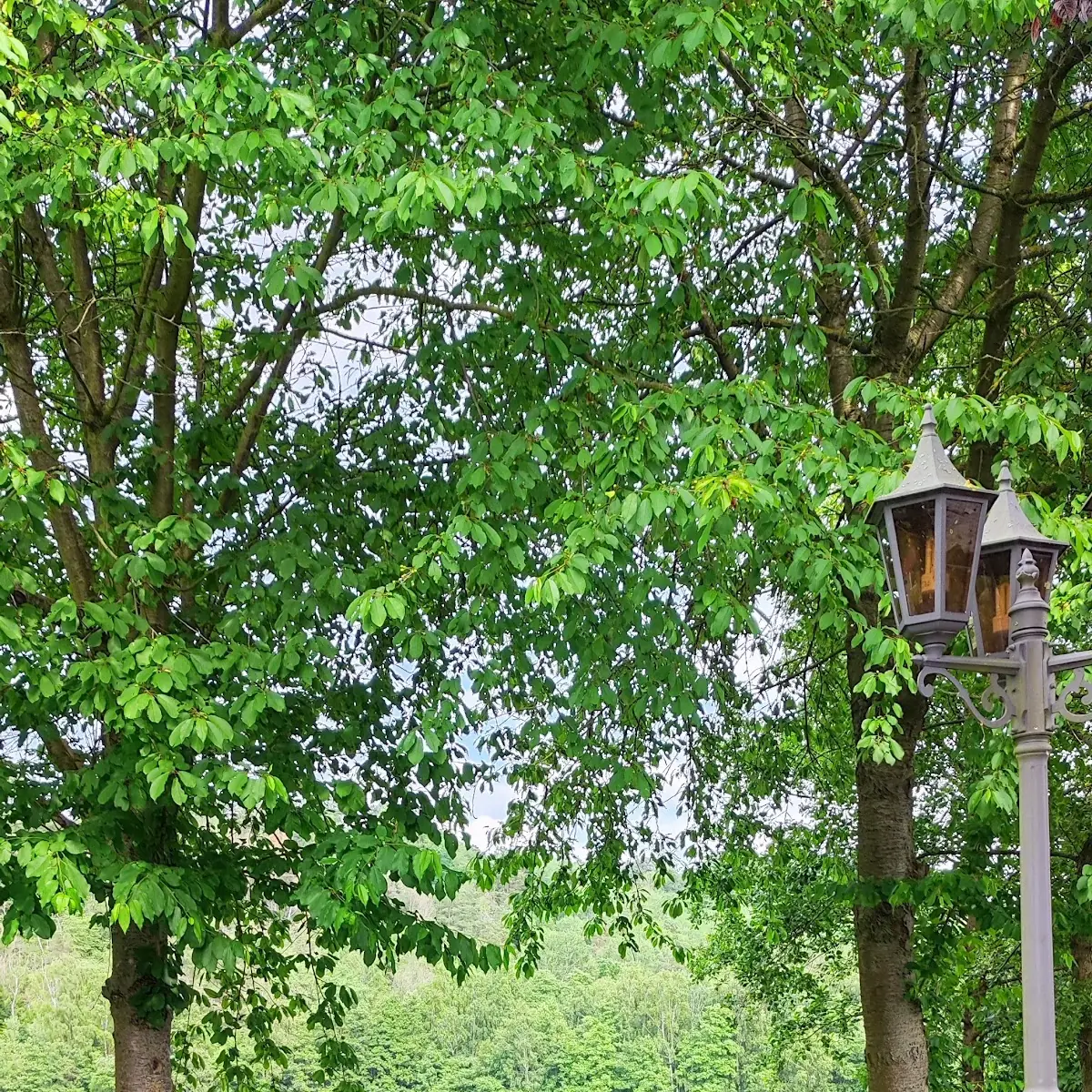 Atmosphäre photo 5