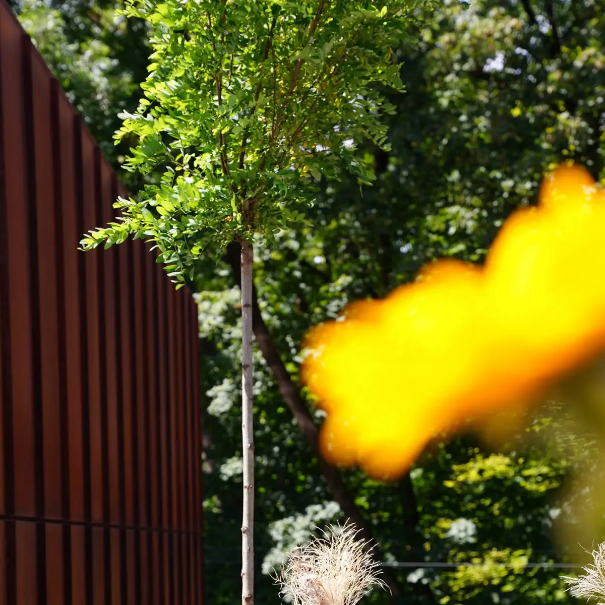 Atmosphäre photo 8