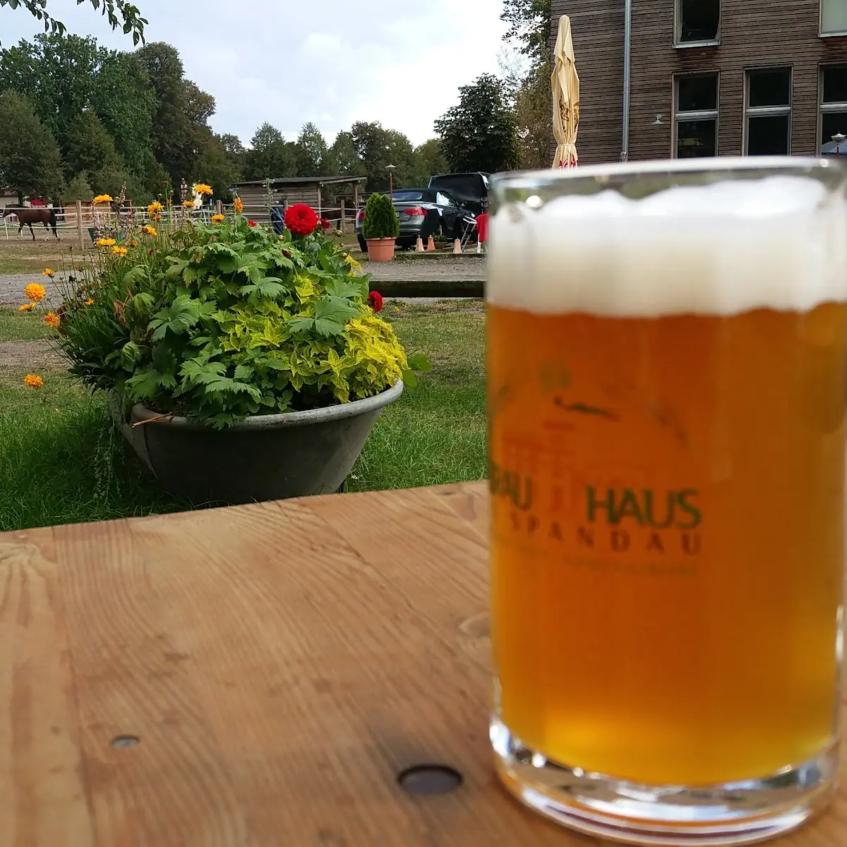 Essen und Trinken photo 10