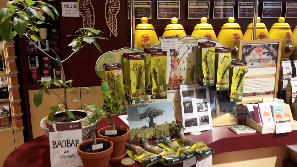 CONTIGO Fairtrade Shop Aachen Titelbild