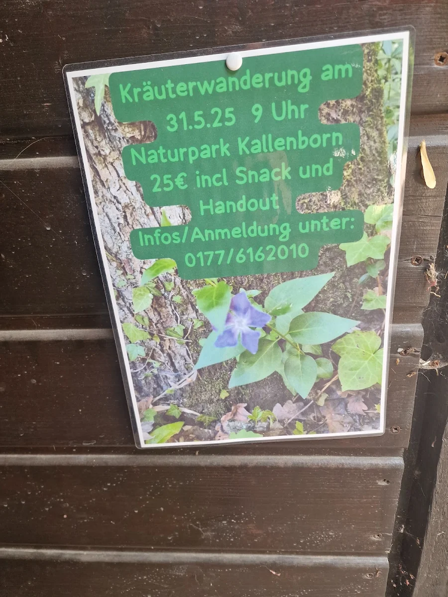Speisekarte photo 9