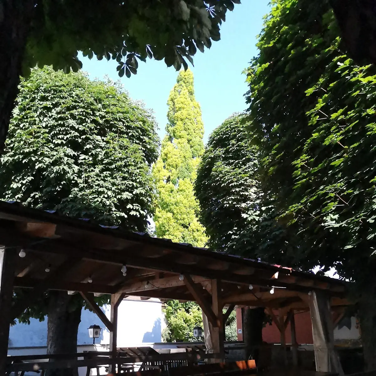 Atmosphäre photo 2