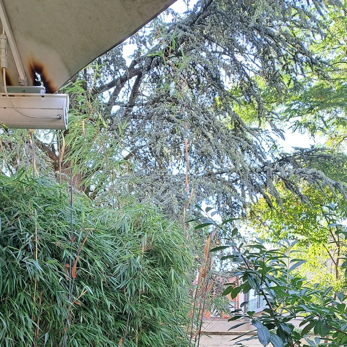 Atmosphäre photo 3