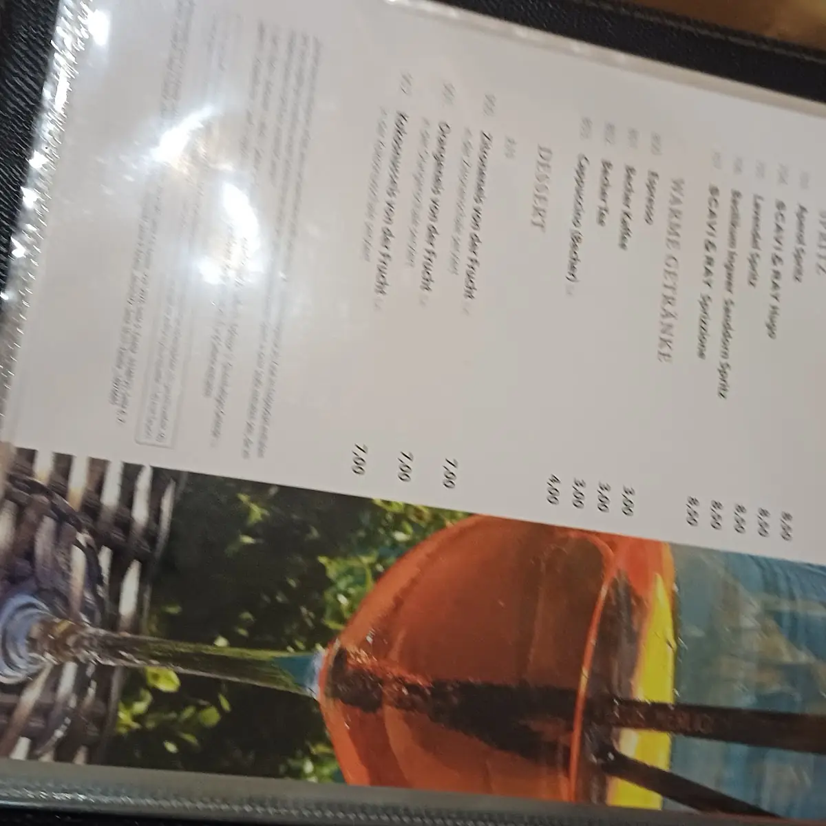 Speisekarte, Restaurant Pegasus