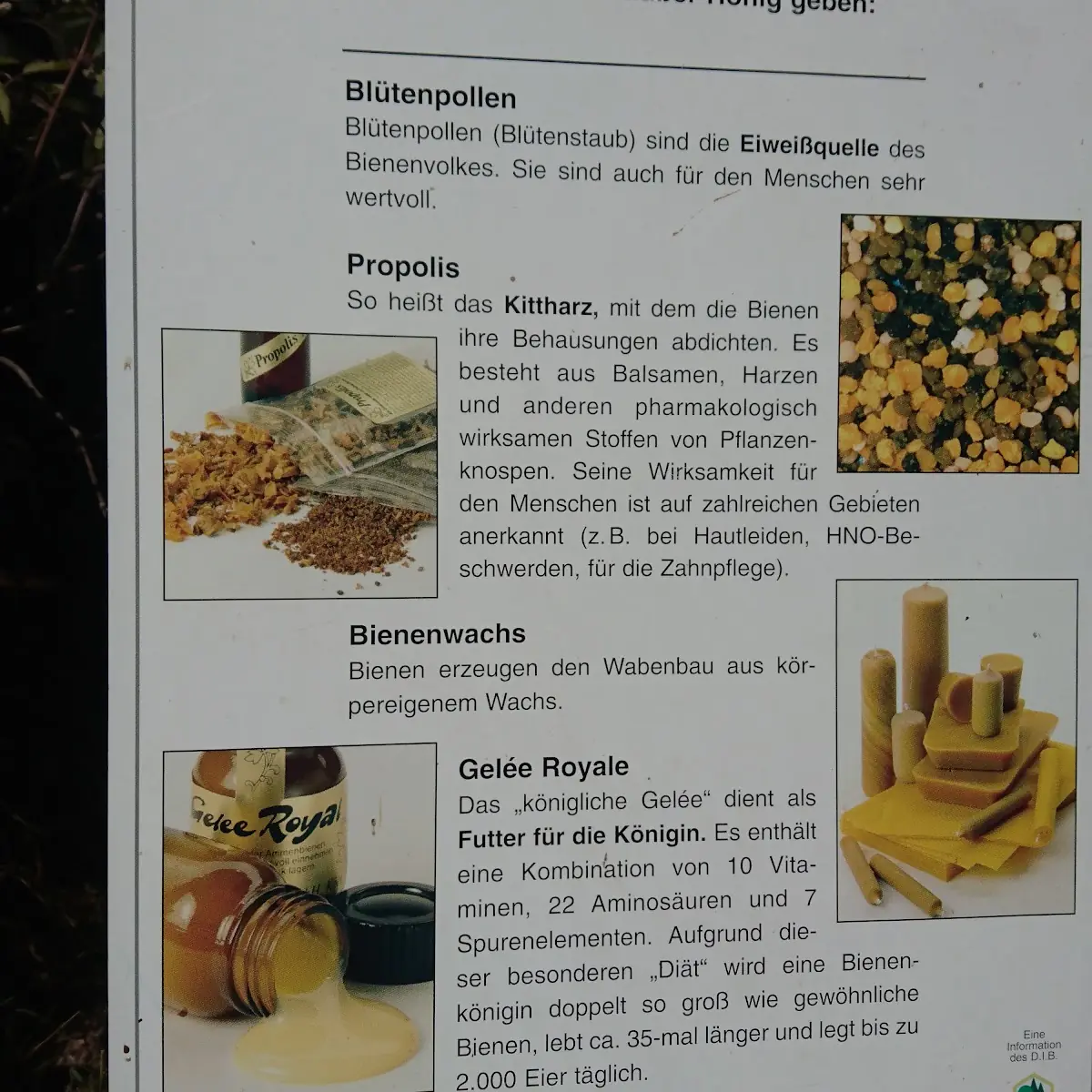Speisekarte photo 5
