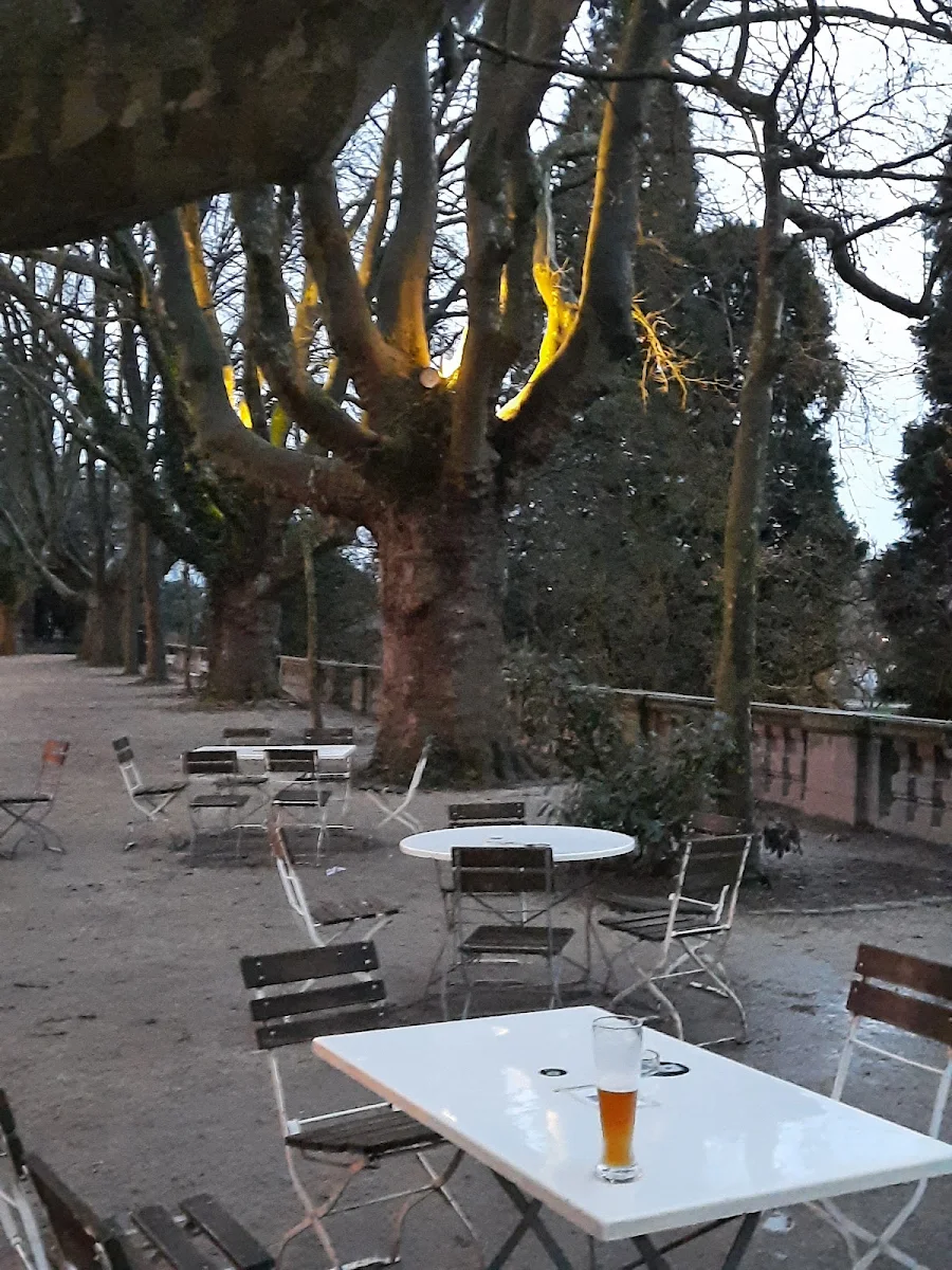 Platanen-Café Titelbild