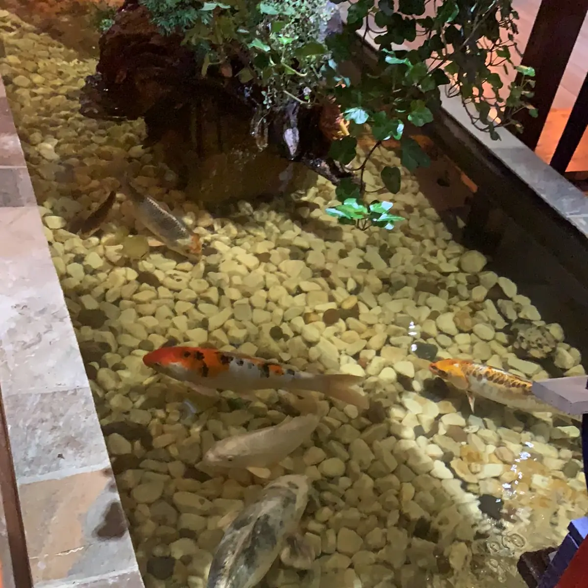 Essen und Trinken, OSAKA
