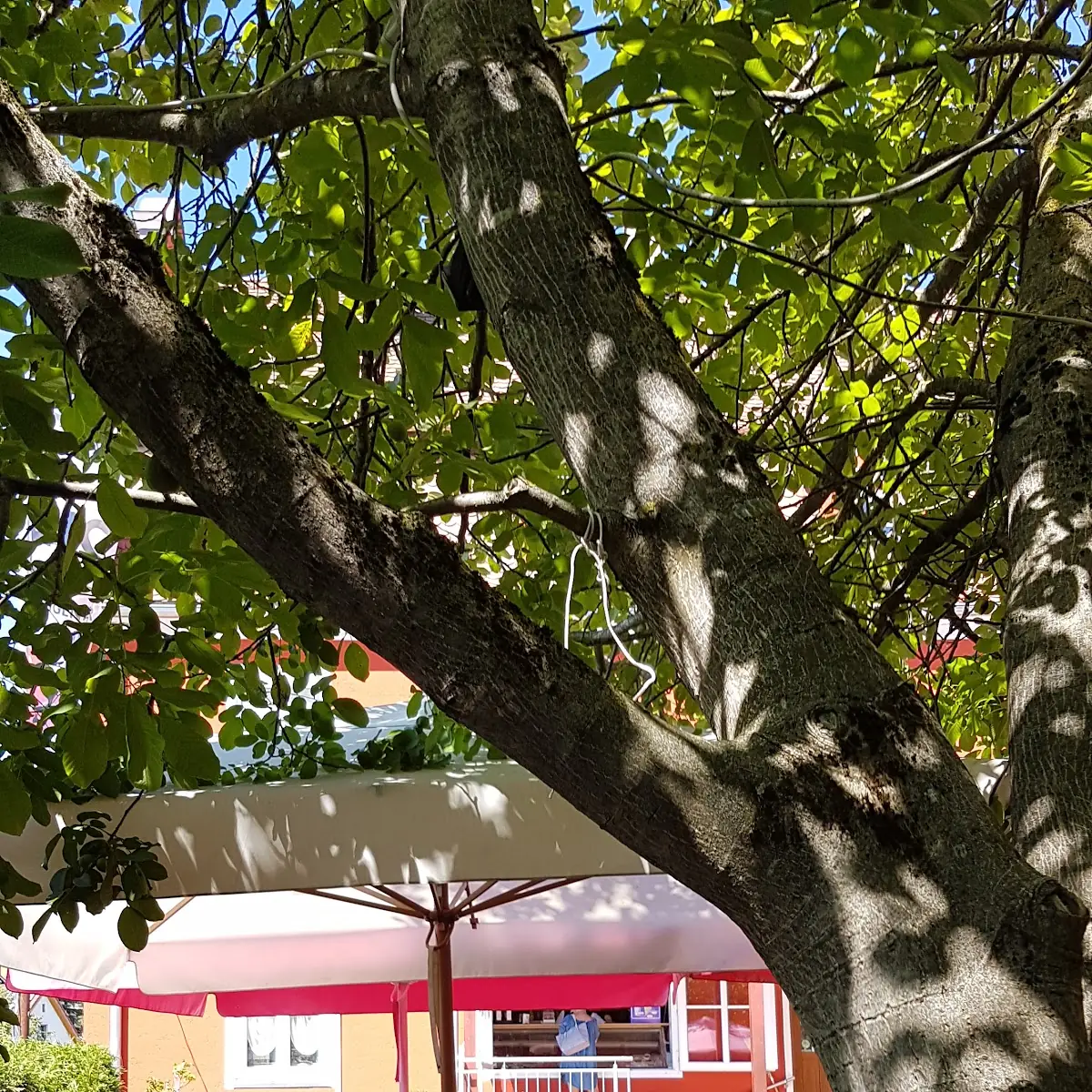 Atmosphäre photo 6