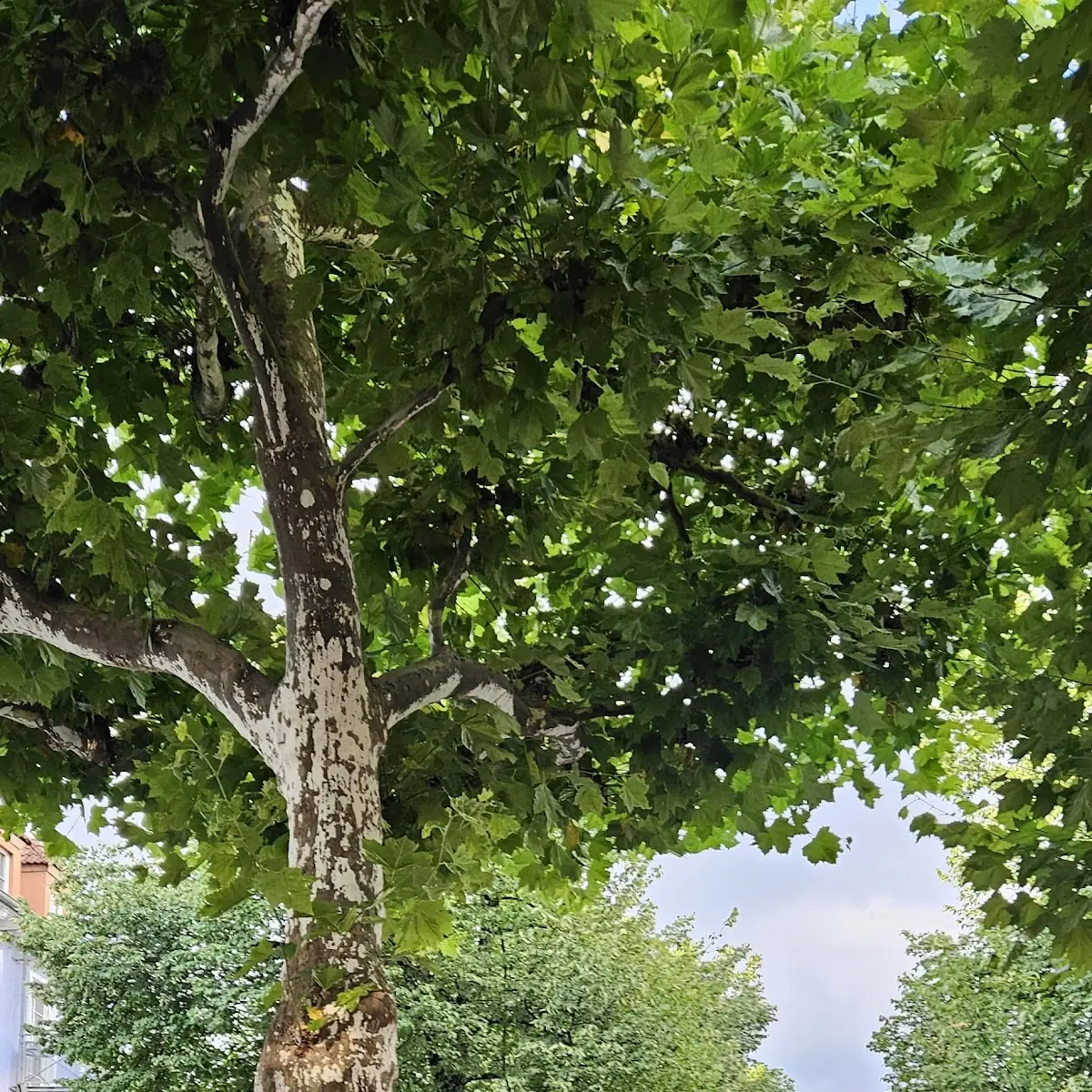 Atmosphäre photo 7
