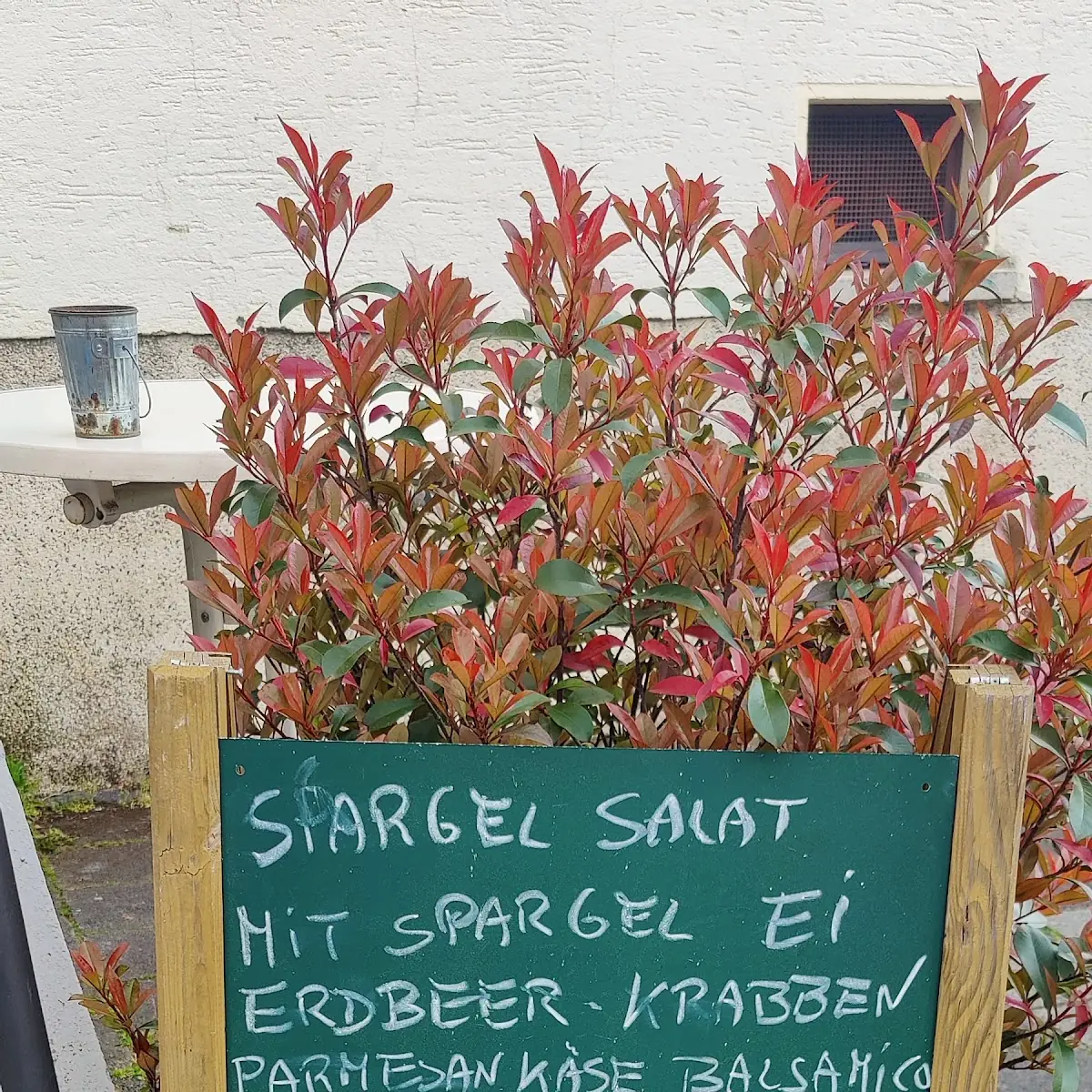 Speisekarte, Pizzeria da Toni