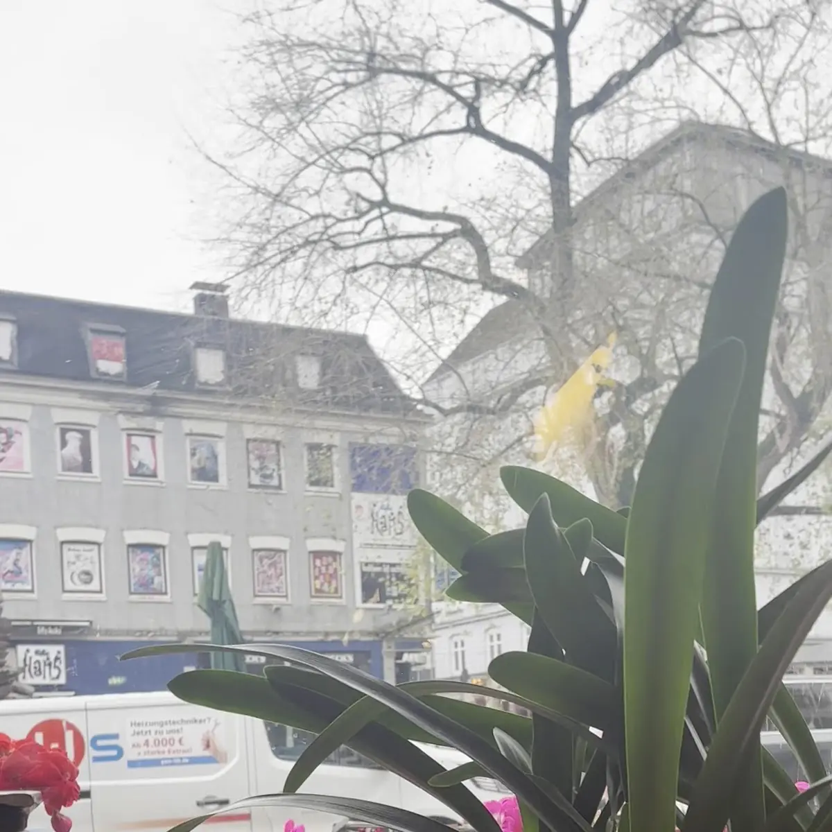 Atmosphäre photo 2