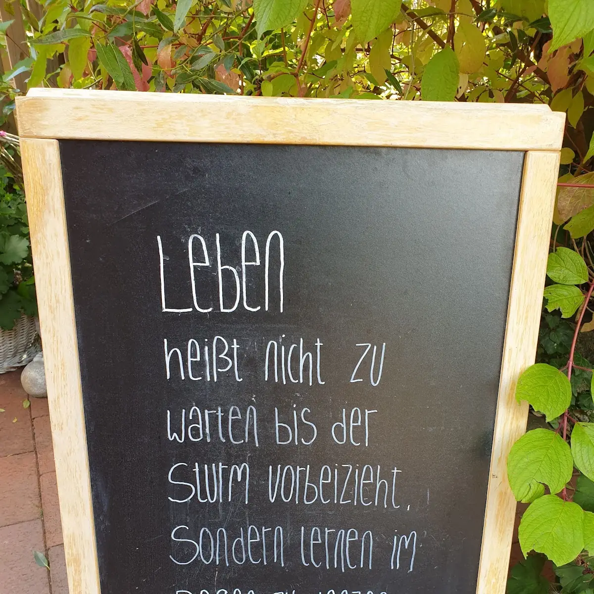 Speisekarte, Der Heideröster