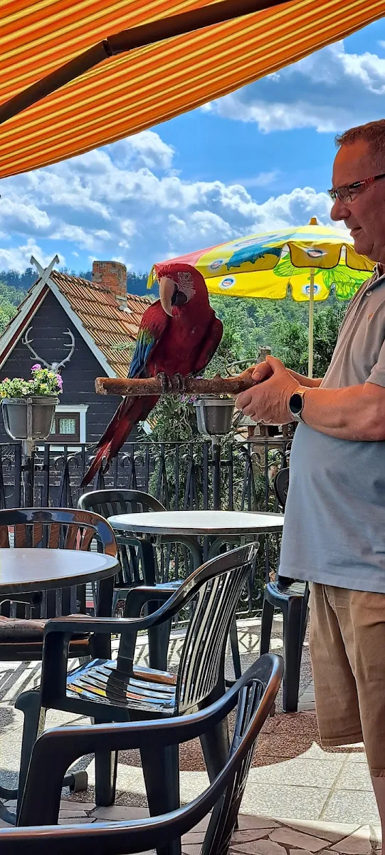 Atmosphäre photo 5