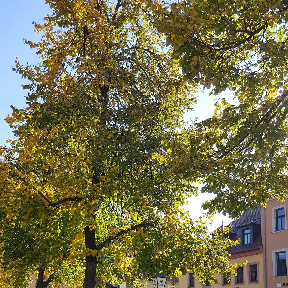 Atmosphäre photo 7