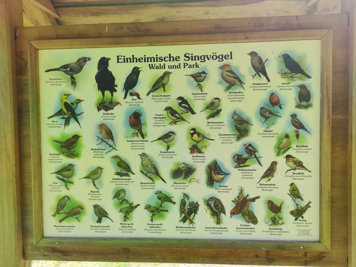 Speisekarte, Eiscafé am Kurpark