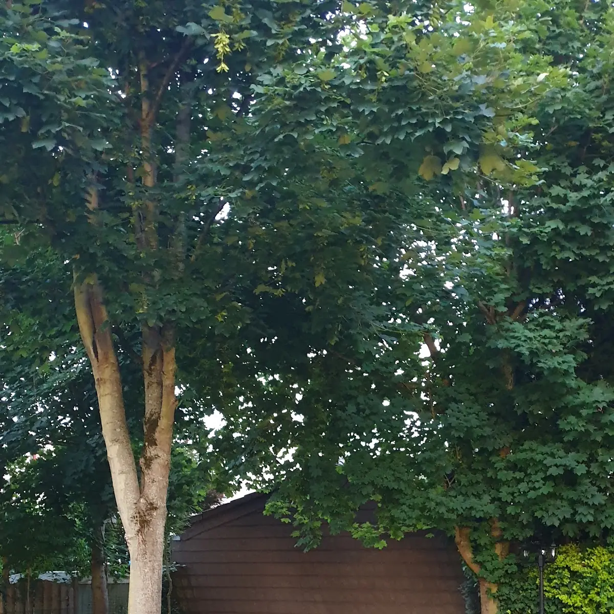 Atmosphäre photo 3