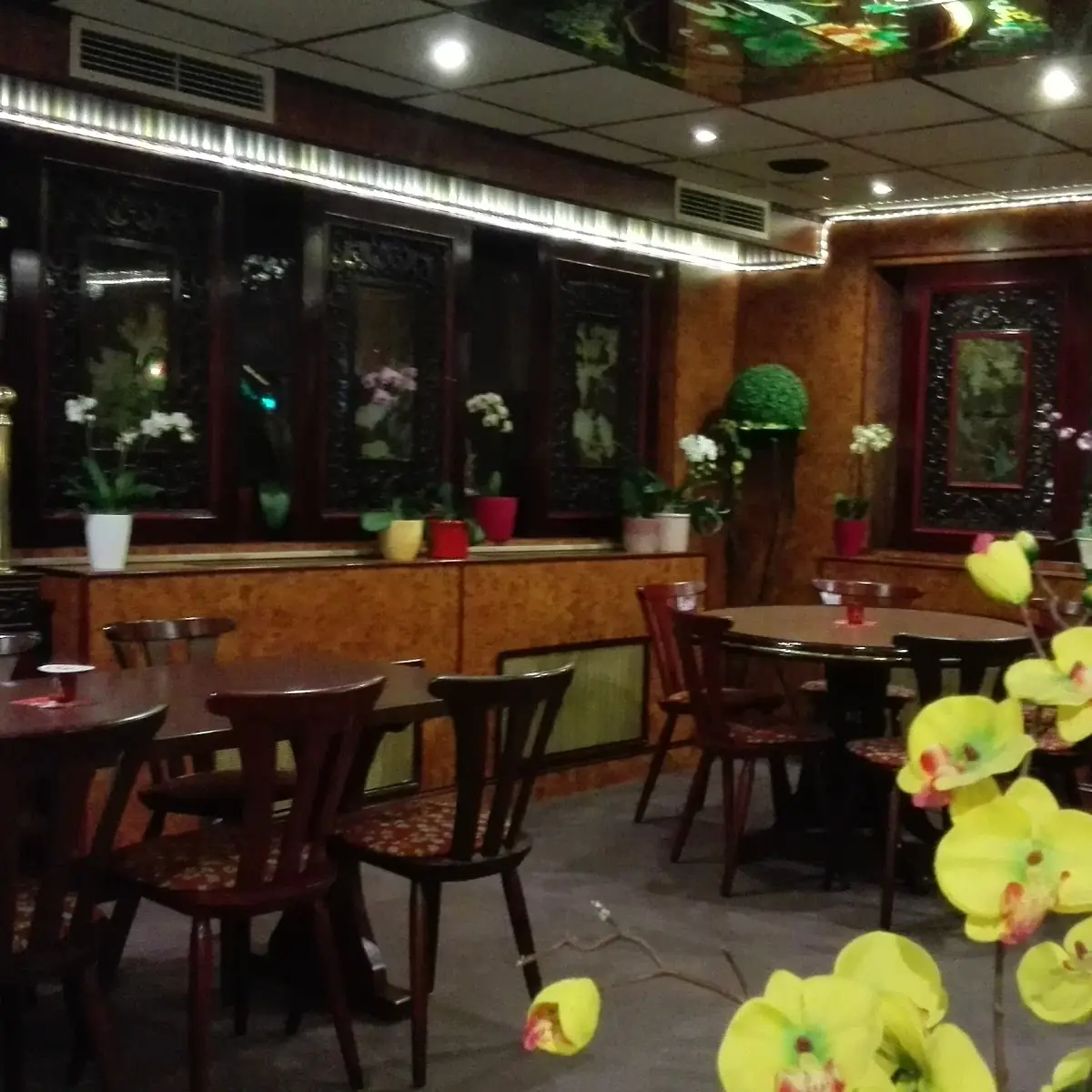 Atmosphäre, Asia Haus Mekong
