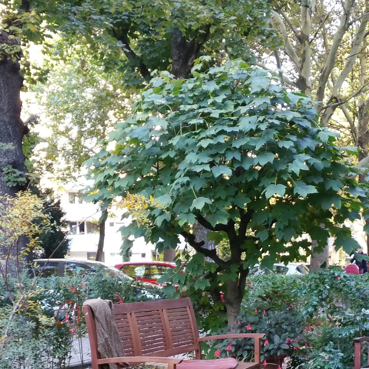 Atmosphäre photo 6
