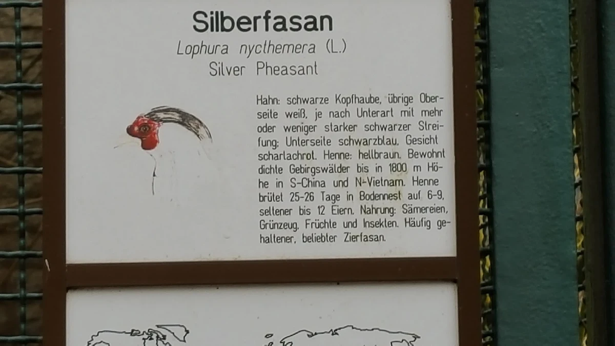 Speisekarte, Café Schloss Friedrichsfelde