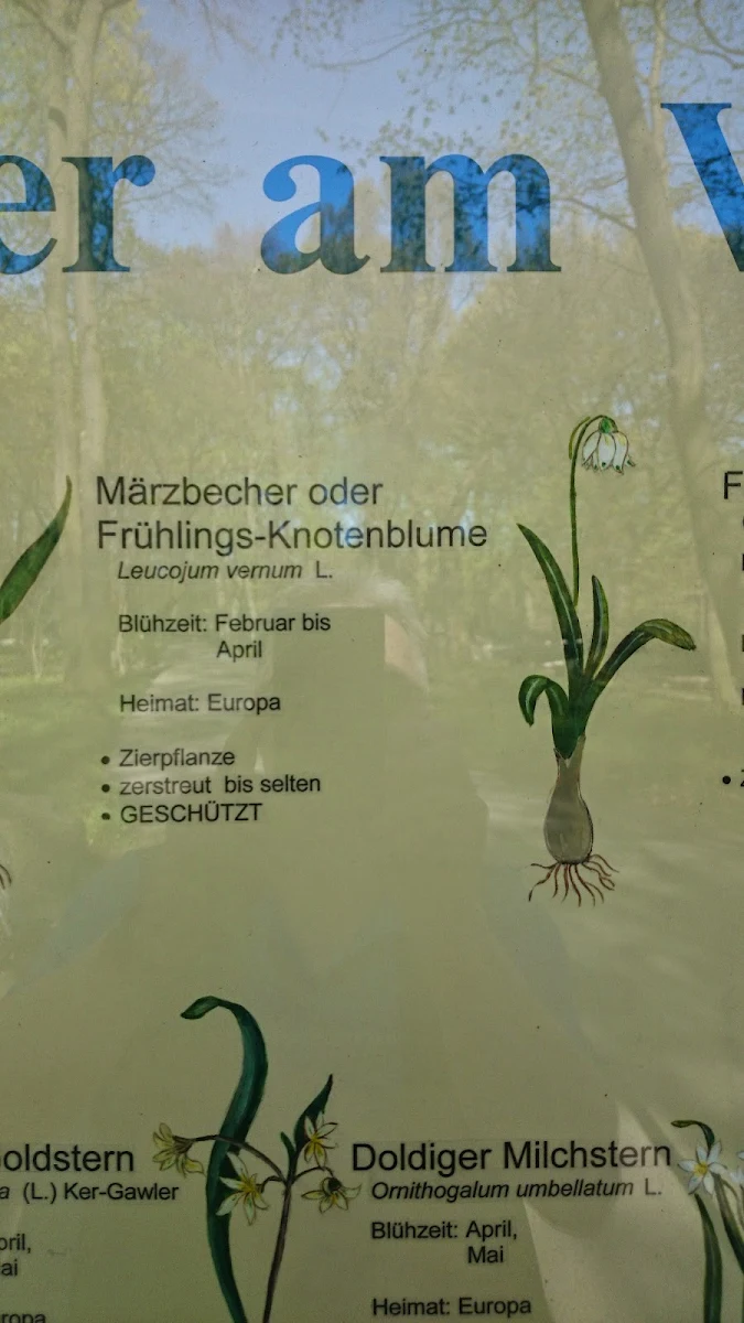 Speisekarte, Café Schloss Friedrichsfelde