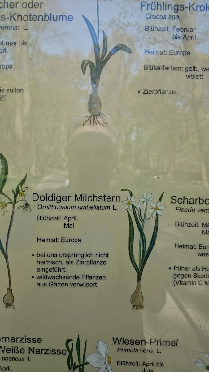 Speisekarte, Café Schloss Friedrichsfelde