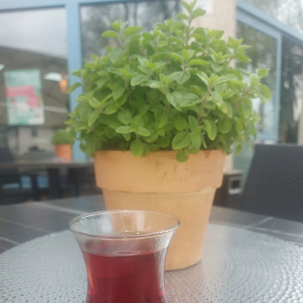 Essen und Trinken photo 8