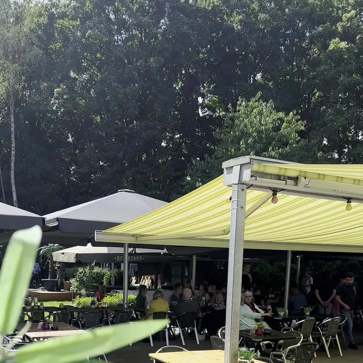 Atmosphäre, Frank's Sunshine-Lounge