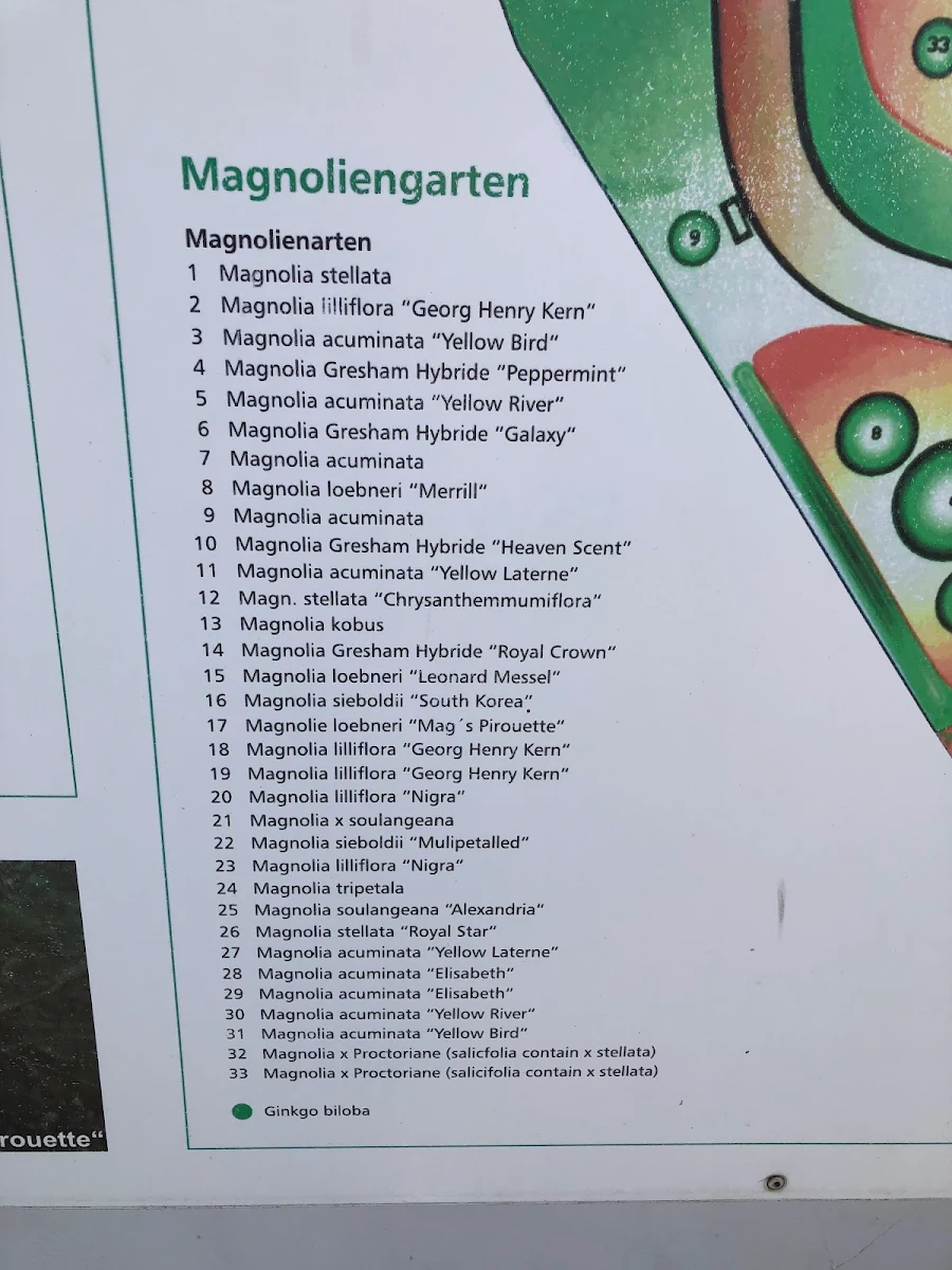 Speisekarte photo 8