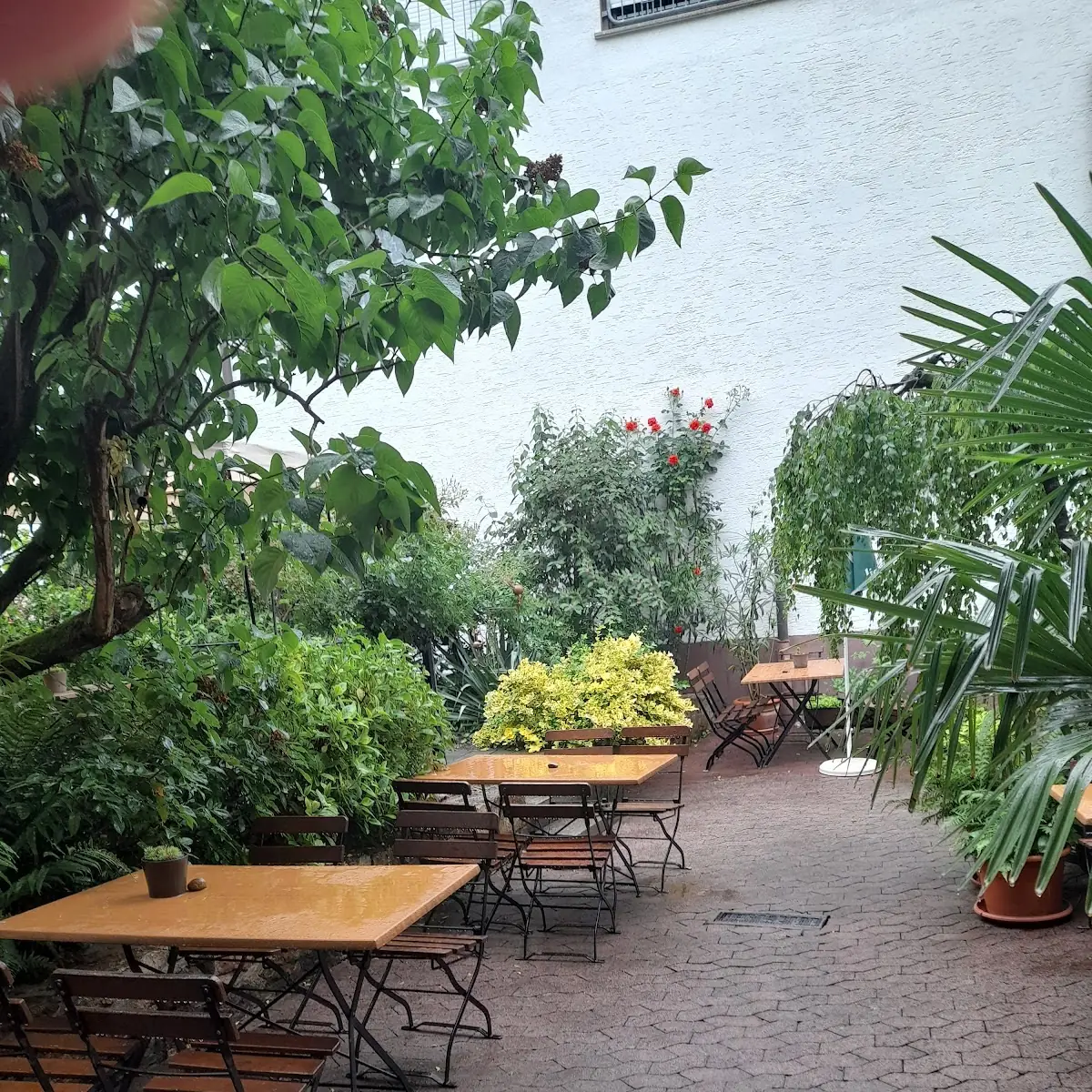 Atmosphäre photo 10