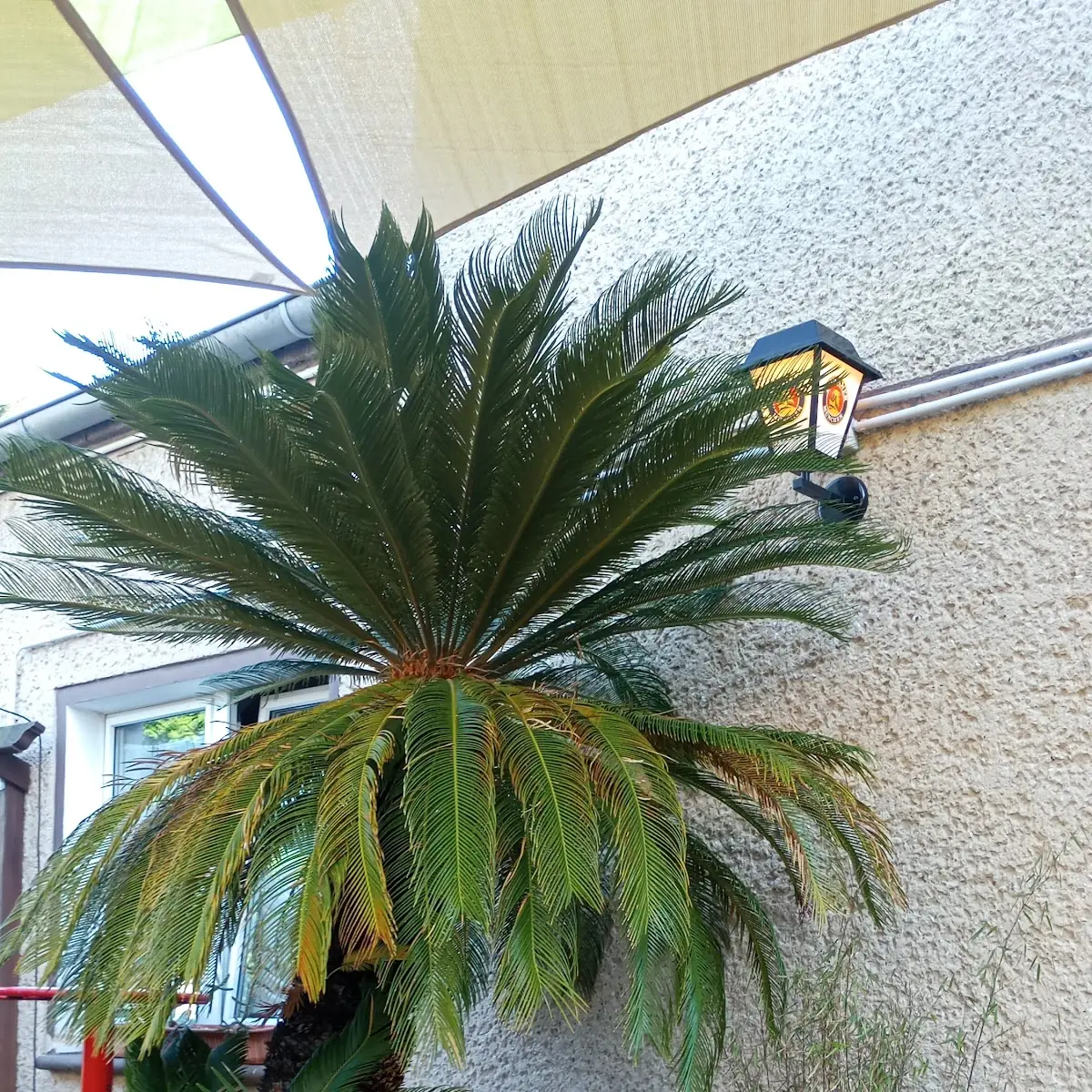 Atmosphäre photo 6