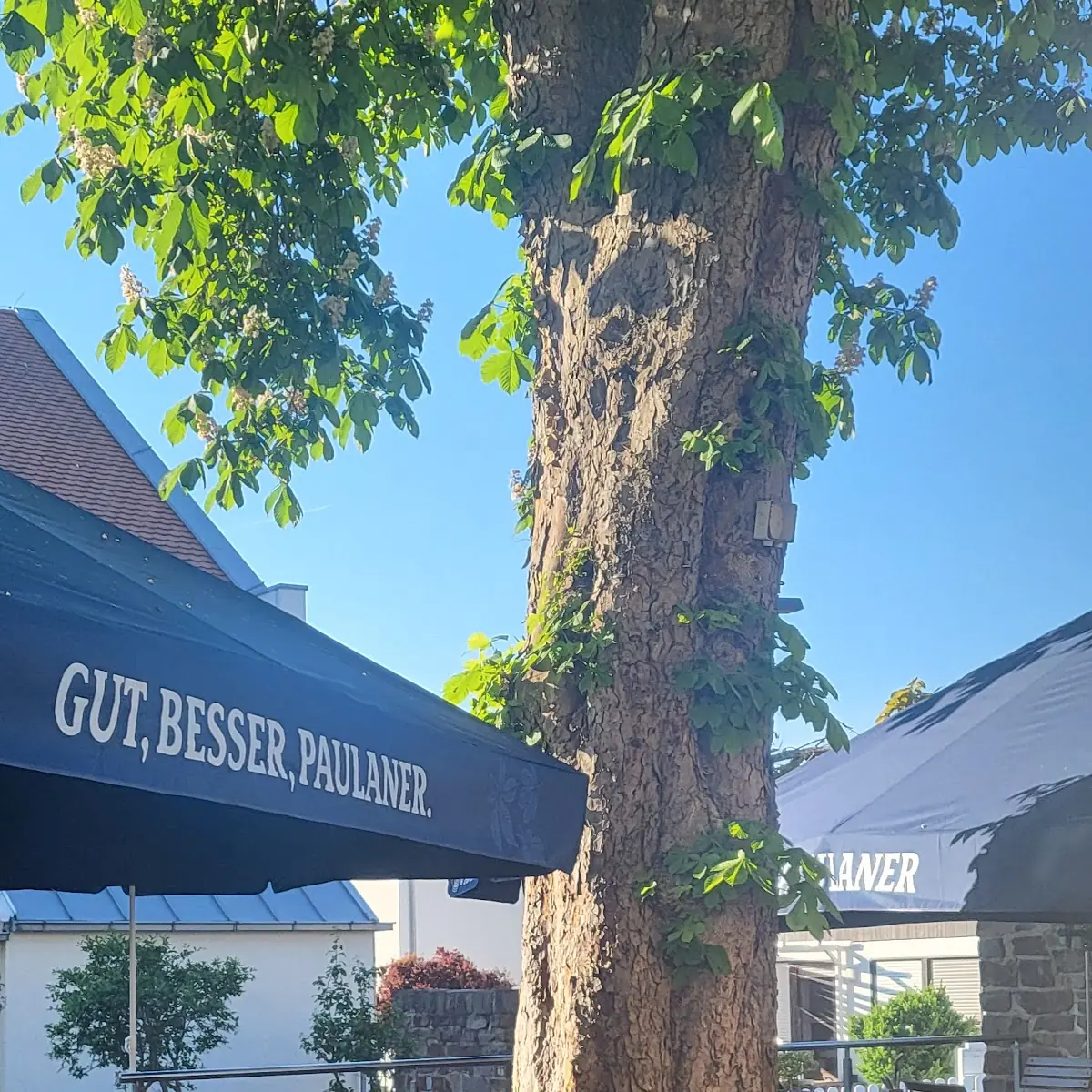Atmosphäre, Zur Sonne