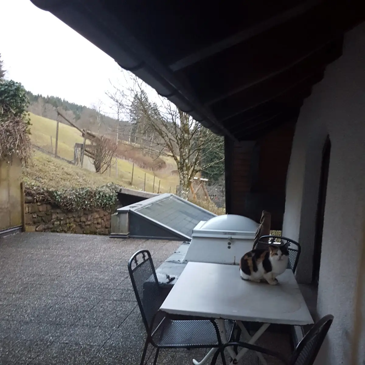 Atmosphäre photo 9