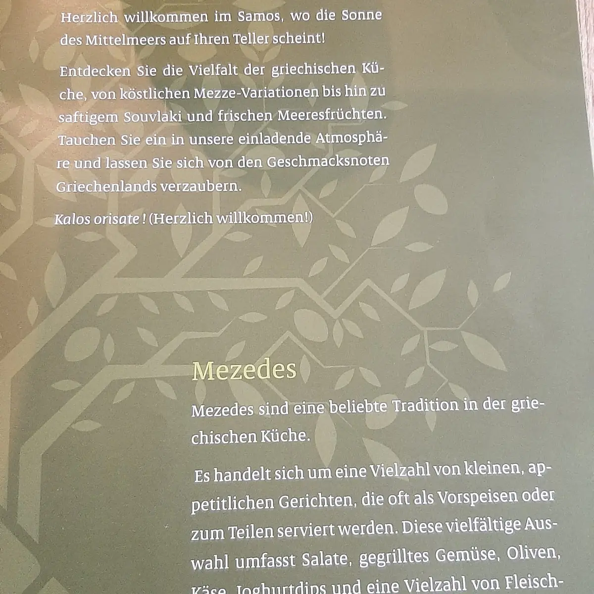 Speisekarte photo 4