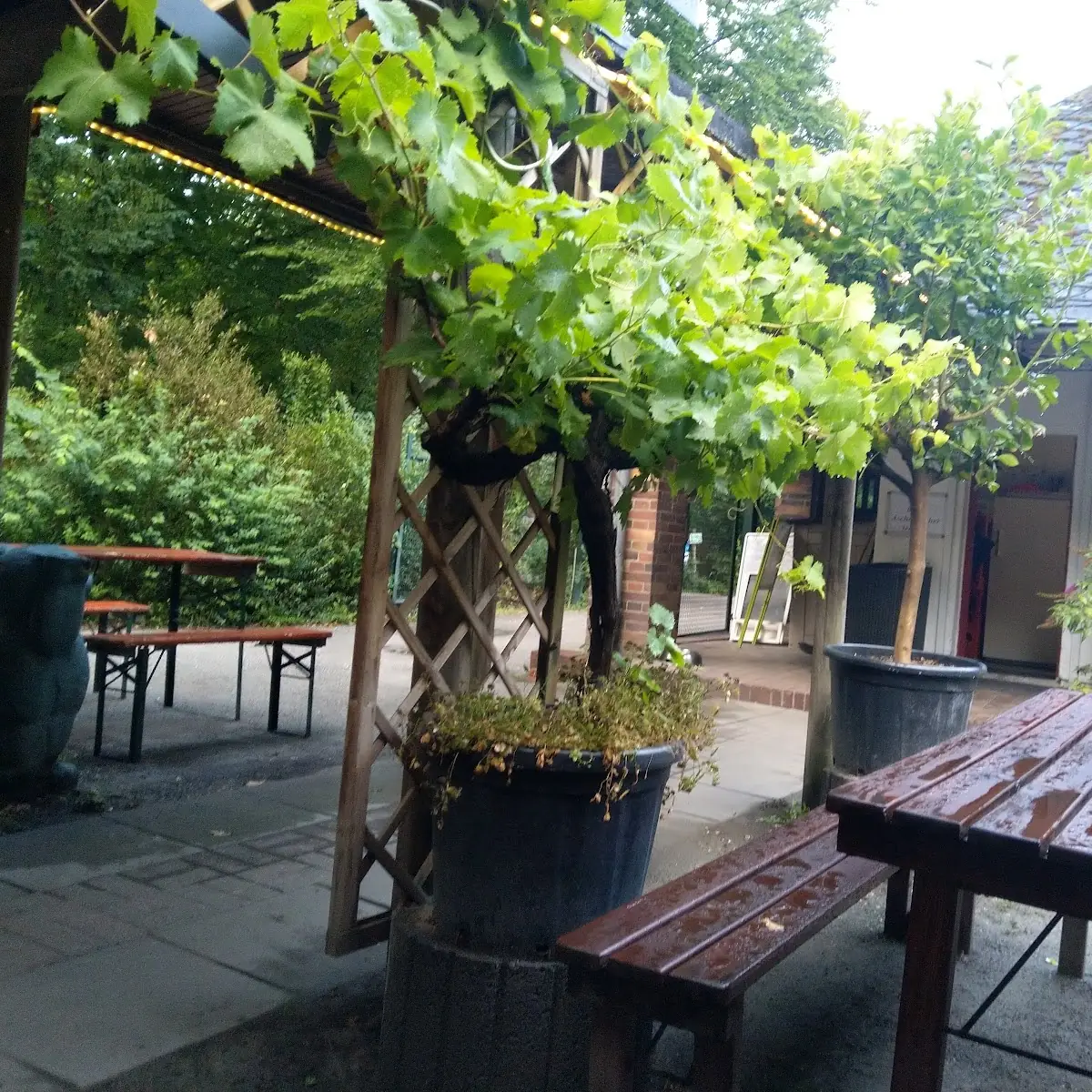 Atmosphäre photo 6