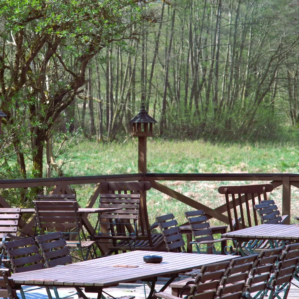 Atmosphäre, Molkenhaus Bad Harzburg