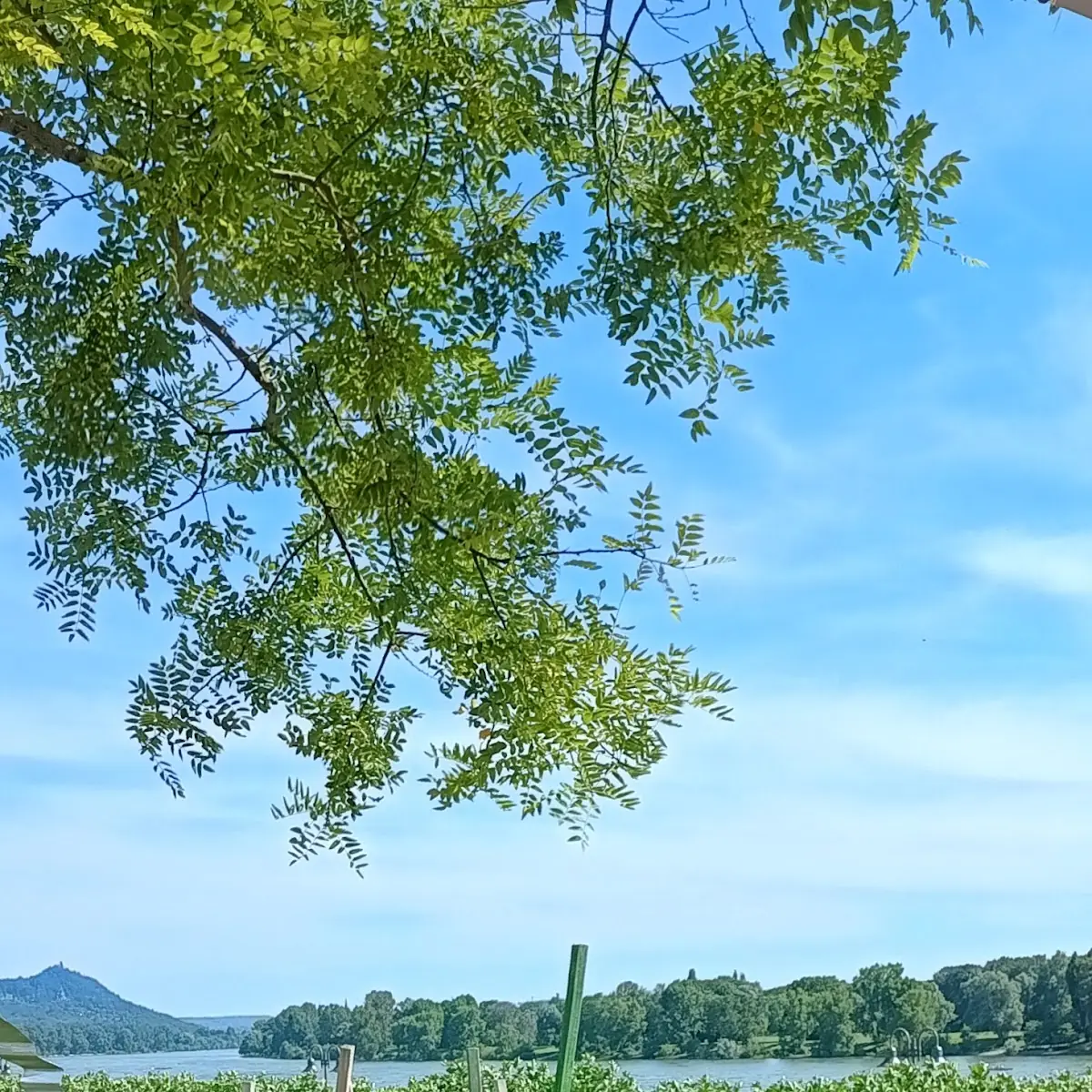 Atmosphäre photo 8