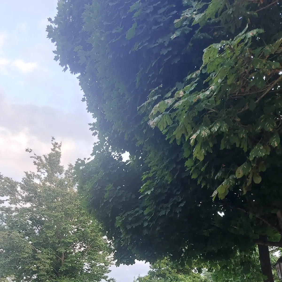Atmosphäre photo 8