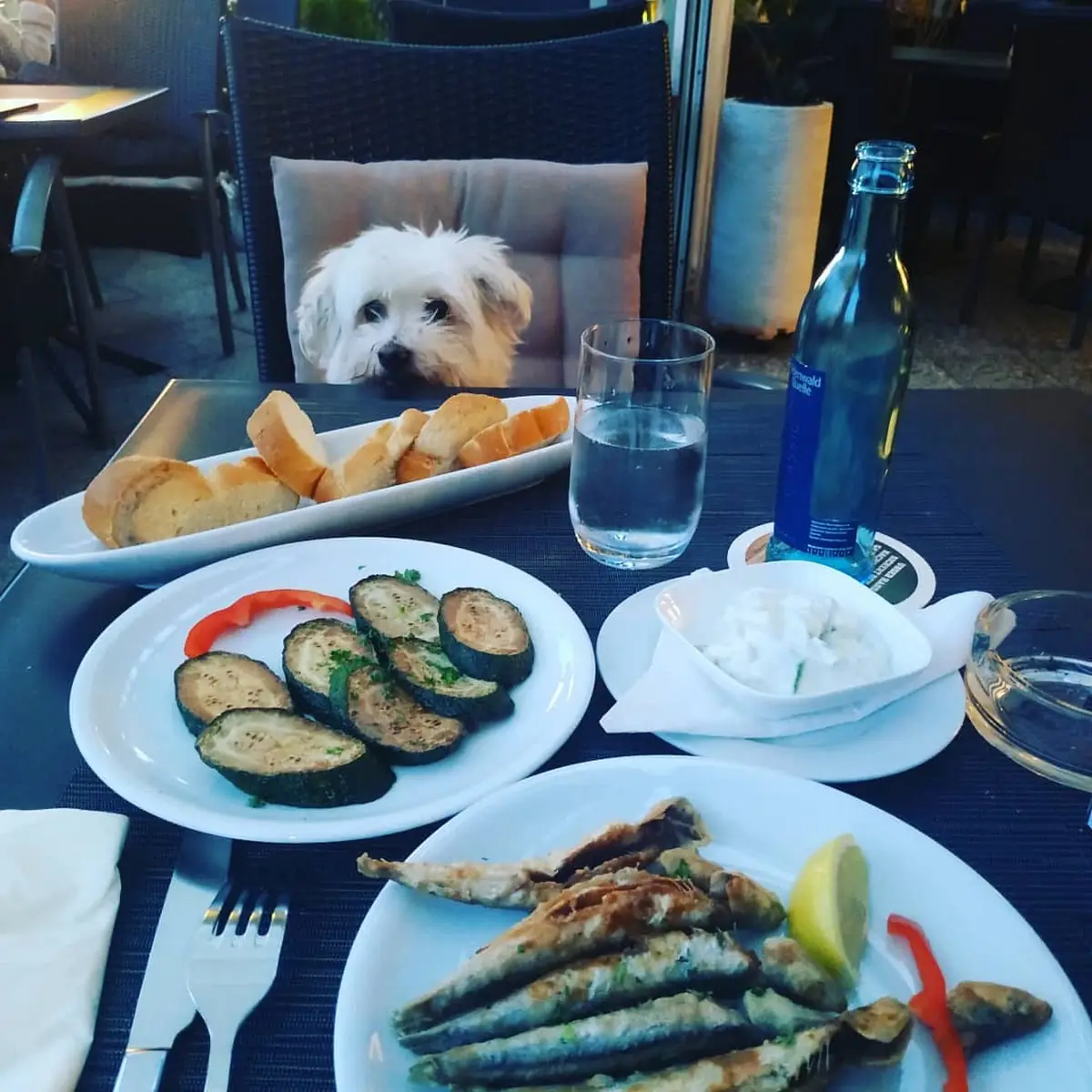 Essen und Trinken photo 10