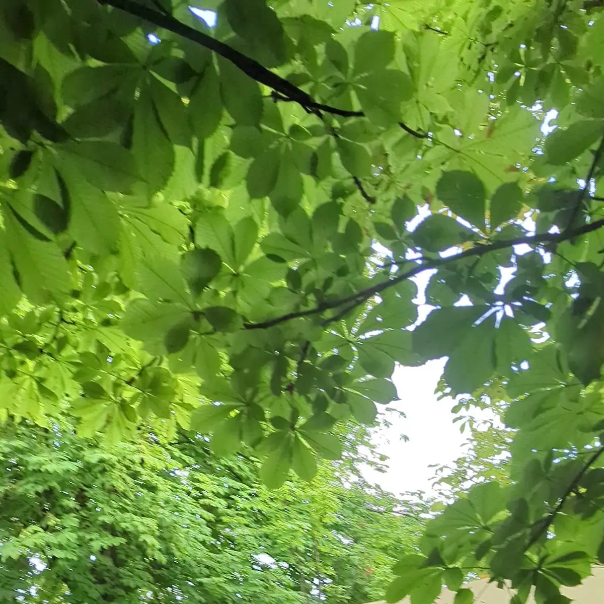 Atmosphäre photo 2