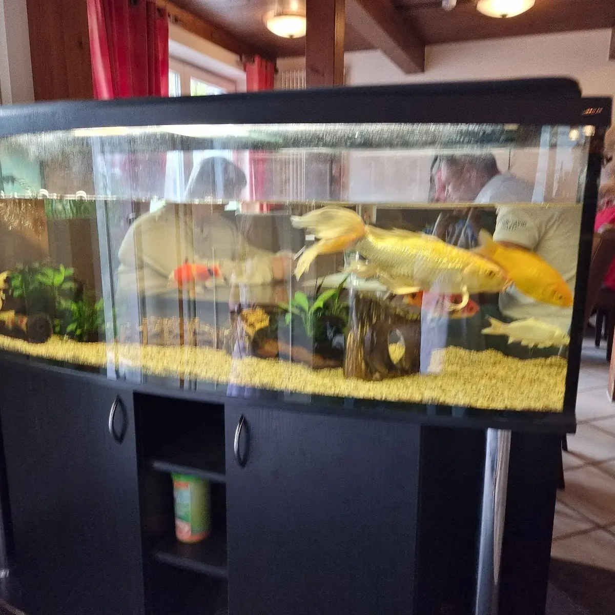 Atmosphäre, Viet Thai Restaurant