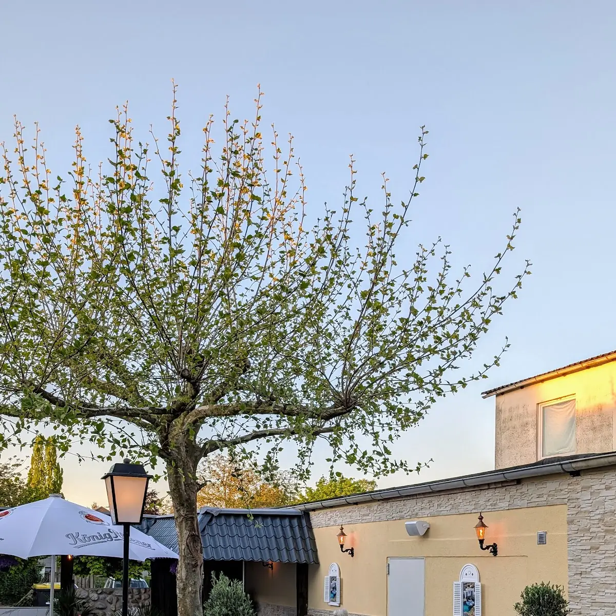 Atmosphäre, Athena Restaurant by eko