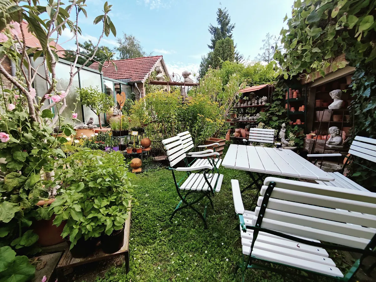 Atmosphäre photo 4