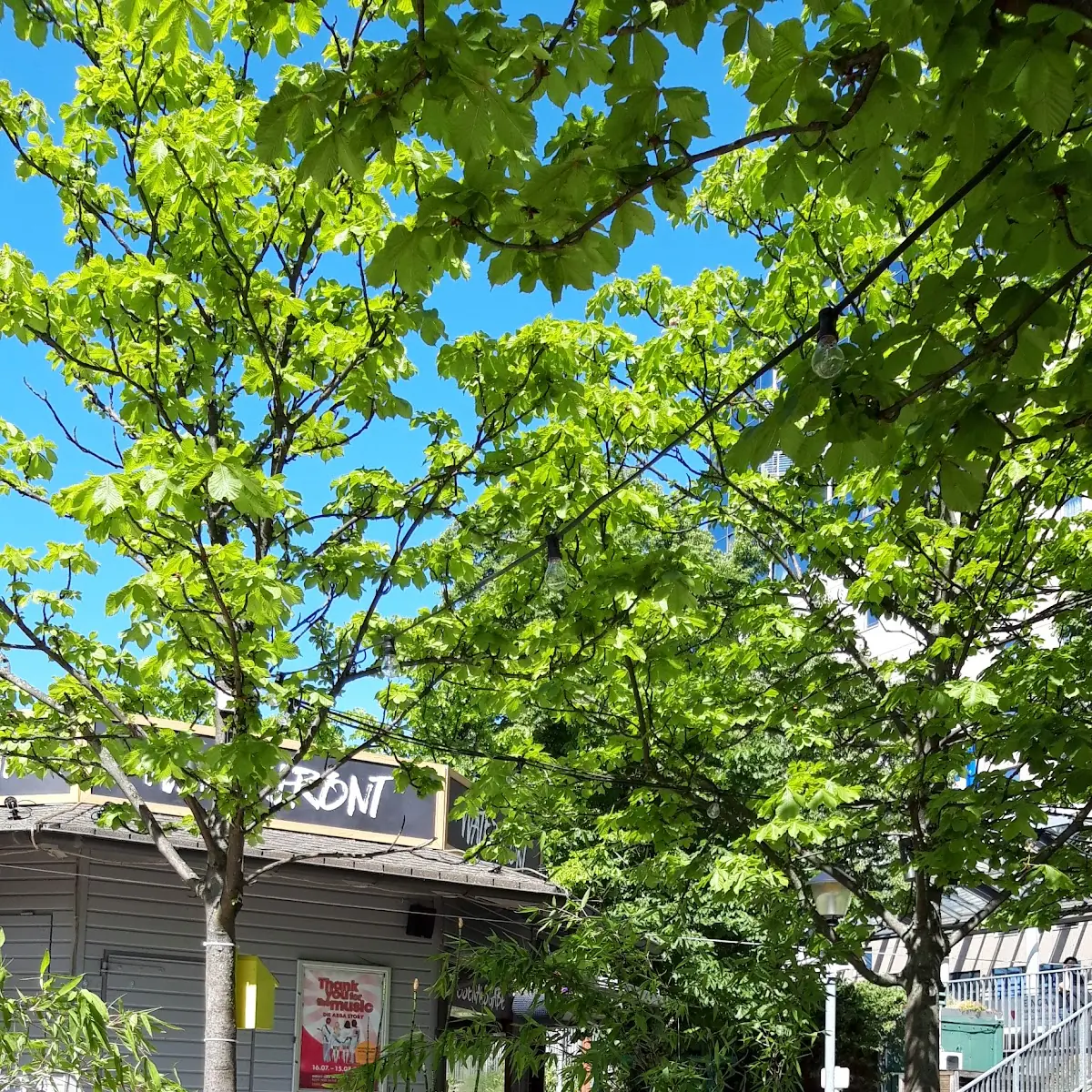 Atmosphäre photo 2
