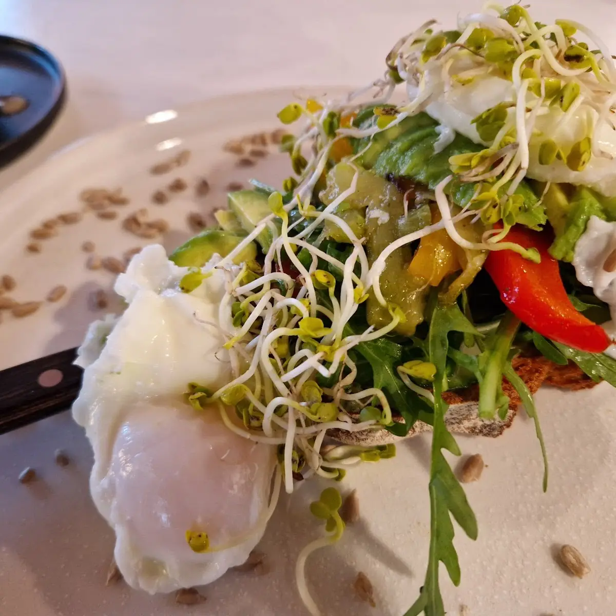 Essen und Trinken, Grünstolz Café