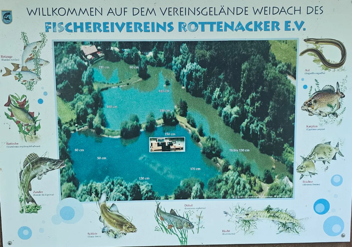 Speisekarte photo 8