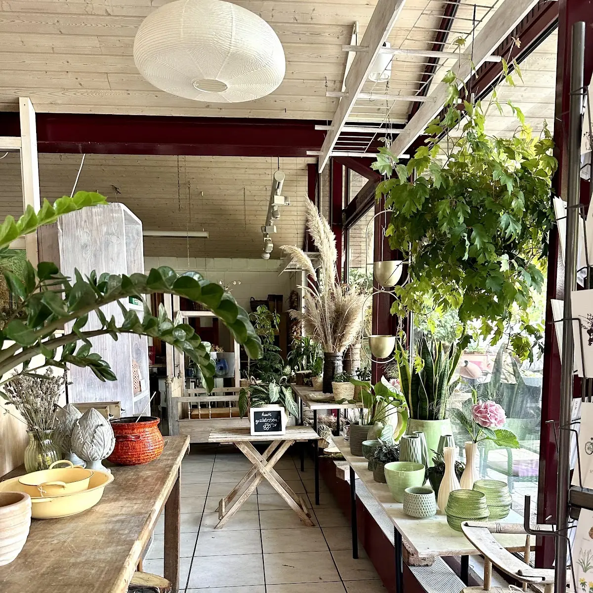 Atmosphäre, Vegetarischer Imbiss • Glashaus